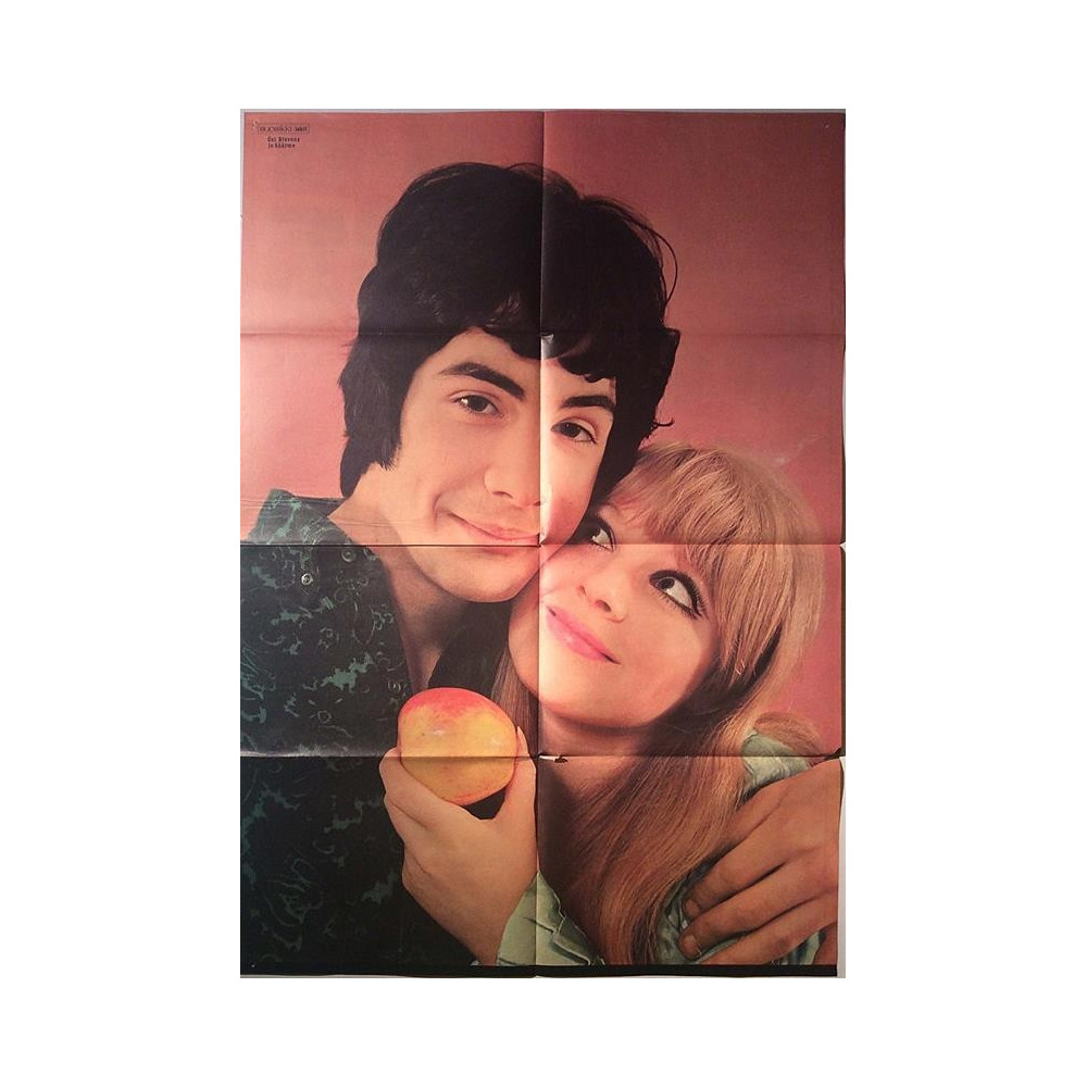 Stevens Cat ja käärme : Suosikki juliste kaksipuoleinen 54cm x 82cm - JULISTE