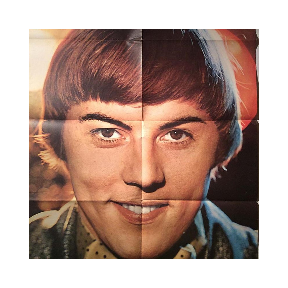 Danny / Sonny & Cher : Juliste kaksipuoleinen 57cm x 82cm - Used Poster