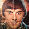 Danny / Sonny & Cher : Juliste kaksipuoleinen 57cm x 82cm - Used Poster