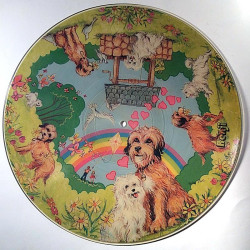 Kidd Stuff Phono Picture Disc : Benji and His Friends - Second hand LP