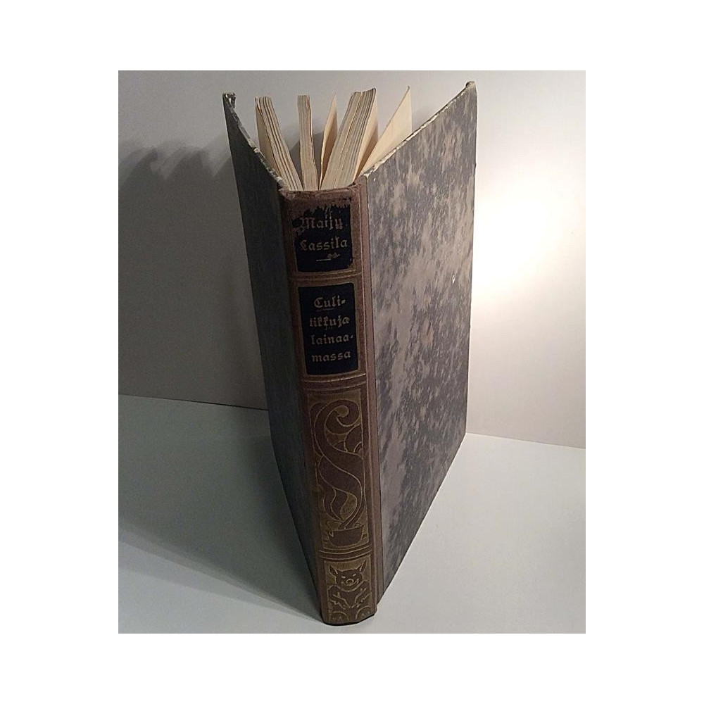 Tulitikkuja lainaamassa neljäs painos : Maiju Lassila - Used book