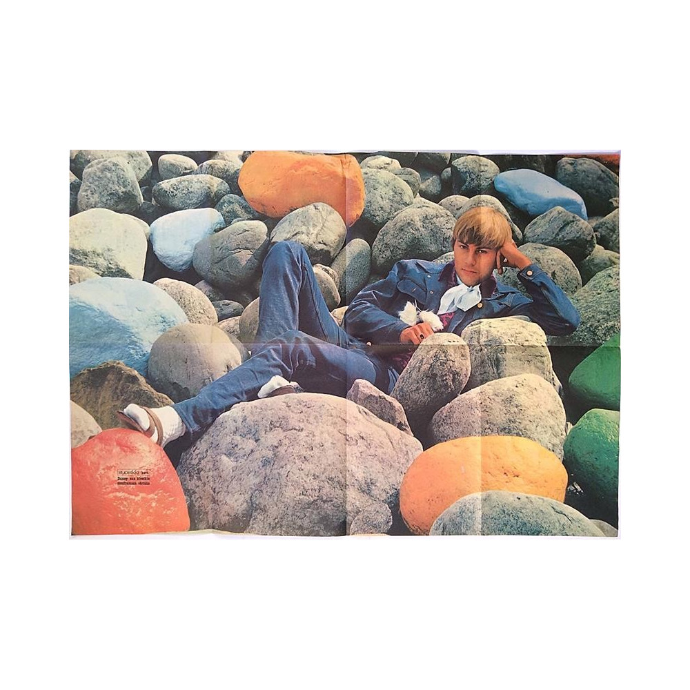 Danny saa kivetkin muuttamaan väriään : Suosikki juliste 82cm x 57cm - Used Poster