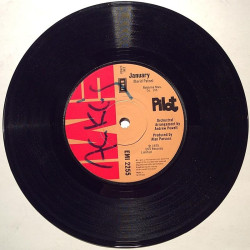 Pilot : January / Never Give Up - second hand single