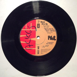 Pilot : January / Never Give Up - second hand single