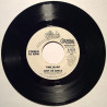 Just Us Girls: Time Warp promotional single  kansi Ei kuvakantta levy EX- käytetty vinyylisingle