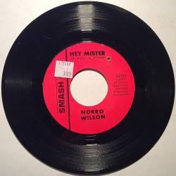 Wilson Norro : Only You (And You Alone) / Hey Mister - begagnad singelskiva