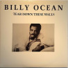 Ocean Billy 1988 JL-8495 Tear Down These Walls LP