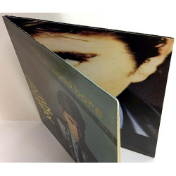 Ferry Bryan : Bride Stripped Bare - Second hand LP