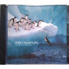 Simo Naapuri : Talvipäivänseisaus - CD