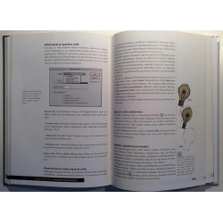 Adobe InDesign Julkaisijan työvälineenä : Pertti Lukkarila - Used book