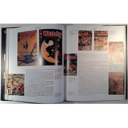 The Comic Book hardcover : Paul Sassiene - Used book
