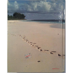Advertising From Fundamentals to Strategies : Michael L. Rothschild - Used book