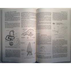 Introduction to Human and Social Biology : Don MacKean, Brian Jones - Used book