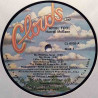 McGann Horrell 1977 CL-8802 April Fool vinyl LP no cover