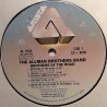 Allman Brothers Band: Brothers Of The Road  kansi Ei kuvakantta levy G+ kanneton LP