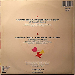 Sinitta 1989 T-20121 Love On A Mountain Top / Don’t tell me not begagnad singelskiva