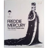 Freddie Mercury: The Great Pretender : by Seán O'Hagan - Något använd bok