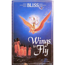 Wings to Fly 1991 BBT-S-40 Wings to Fly c music cassette