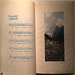 Felderer Karl 1963 1001 Wohl ist die welt so groß und weit second hand single