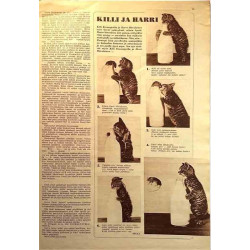 Seura 1956 N:o 40 3.10.1956 Se on rumaa, kun mies on koree begagnade magazine