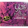 Yes & Friends (Asia, Squire, Howe ym.) 2007 WX032 Owner Of A Lonely Heart CD