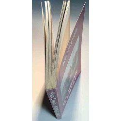 Dingo: Kunnian kentät 1985 ISBN 951-99655-6-4 Kari Levola Used book