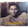 Neville Aaron 1991 AMCD 793 Everybody Plays The Fool cd-single CD Begagnat