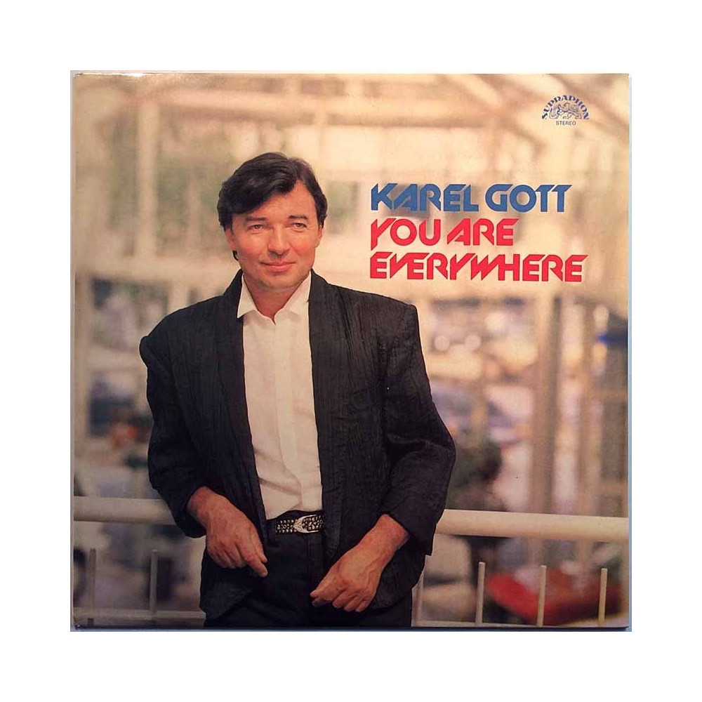 Gott Karel 1988 11 0289-1 311 You Ar eEverywhere Begagnat LP