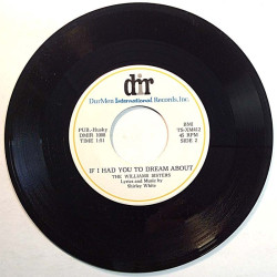Williams Sisters 1970’s TS-XM412 Barfly of the town / If I had you to dream about second hand single