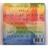 Hot Chip 2019 WIGCD375 A Bath Full Of Ecstasy CD Begagnat