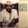 Gaye Marvin 1985 A-4894 Sanctified Lady / Instrumental second hand single