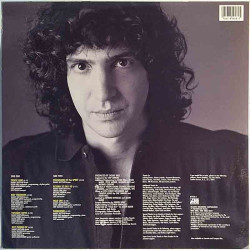 Gottlieb Danny 1989 781 958-1 Whirlwind Used LP