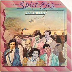 Split Enz 1976 CHR 1131 Mental Notes Begagnat LP