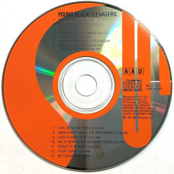 Young Black Teenagers: Young Black Teenagers -91  kansi Ei kuvakantta levy EX kanneton CD